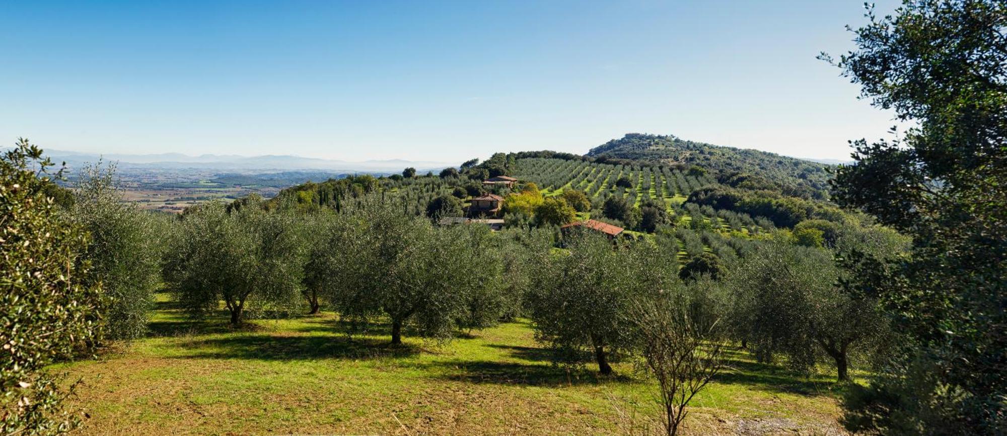 The Country House Montali Tavernelle  Exterior foto